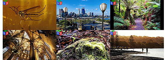 archive_group2