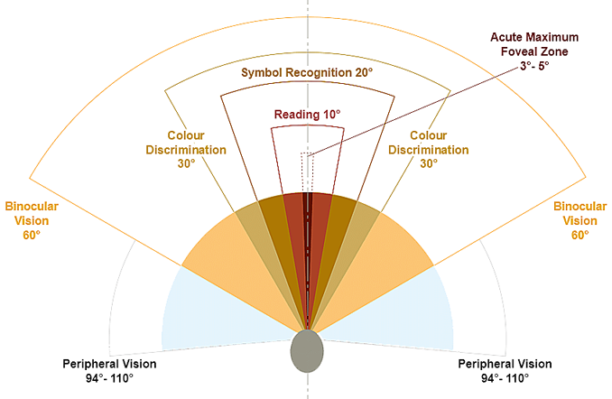 monocularvisualfield
