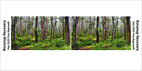 stereocard