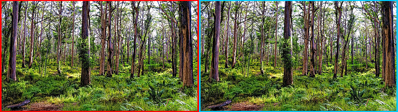 stereogram